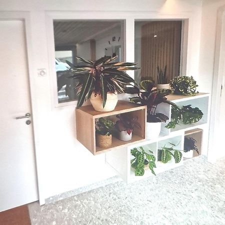 Moderne F3 - 10 Min Aeroport Cdg - Paris - Parc Asterix - Disneyland Paris - Tour Eiffel - Champs Elysee - 15 Min Parc Des Expositions Villepinte - 10 Min Le Bourget - 5 Min Du Golf International De Roissy- Jo 2024 Le Thillay Exterior foto